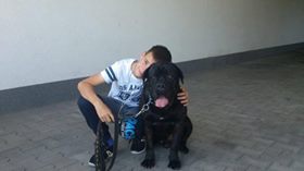 Mauro u Państwa Wiśniewskich